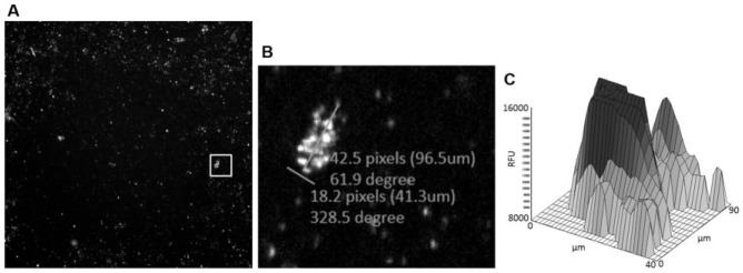 Figure 3.