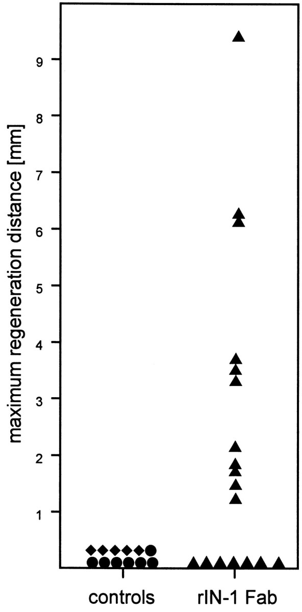 Fig. 9.