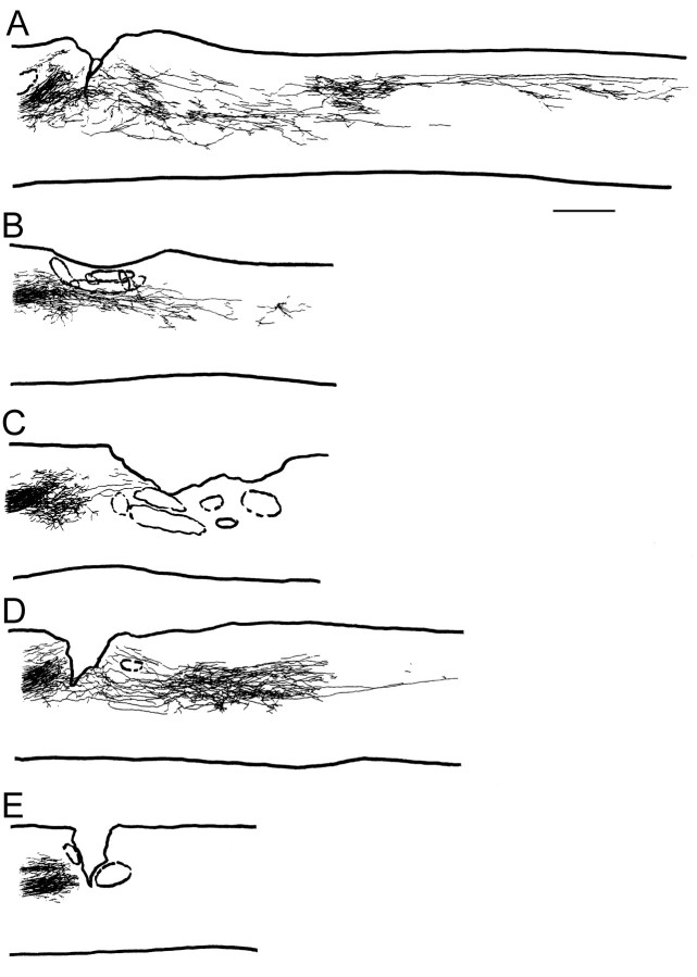 Fig. 8.