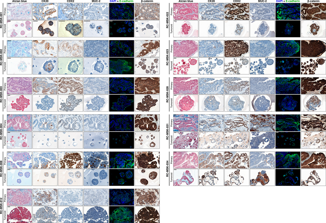 Extended Data Fig. 4 |