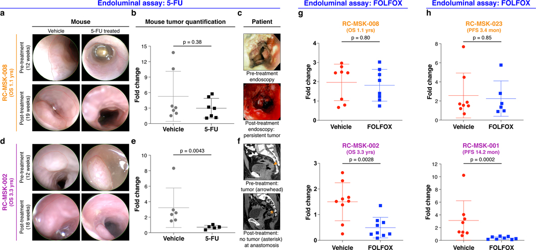 Fig. 4 |