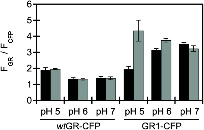 Fig. 3