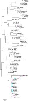 Fig. 2