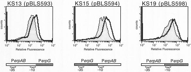 FIG. 7.