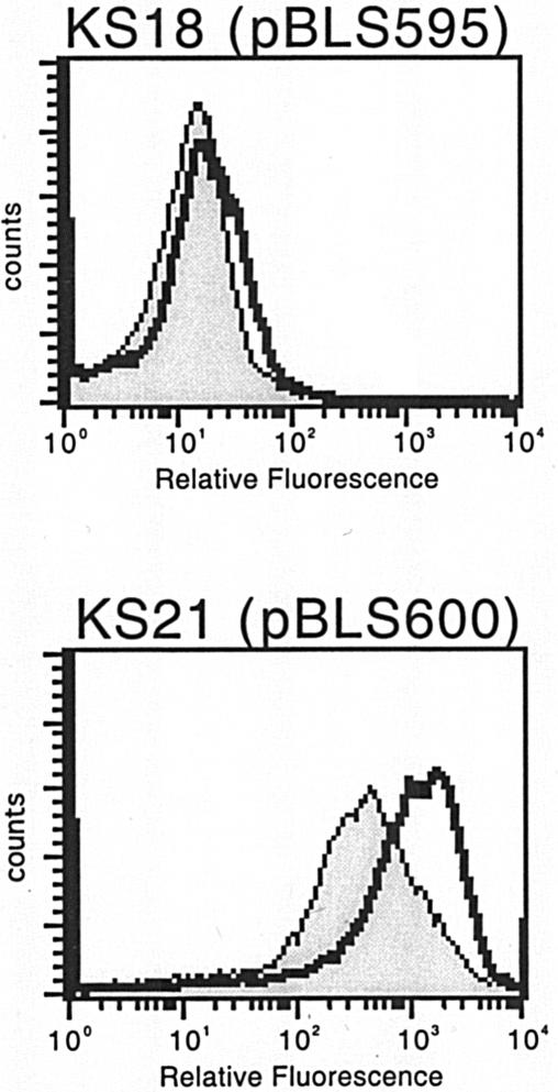 FIG. 8.