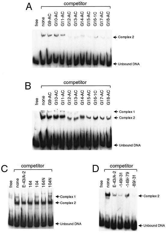 FIG. 3.