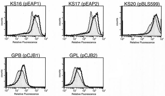 FIG. 6.