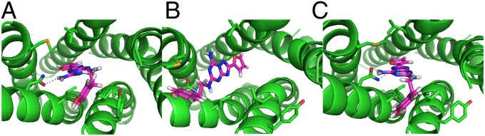 Fig. 6.