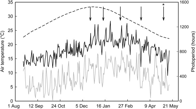 Figure 1.