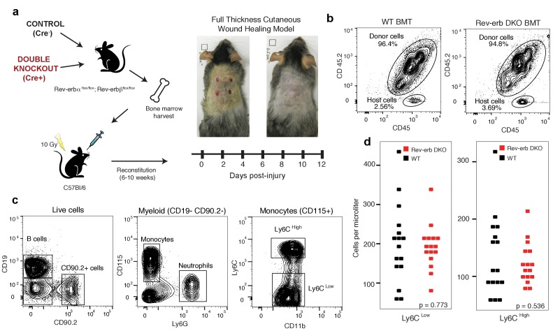 Figure 2—figure supplement 1.