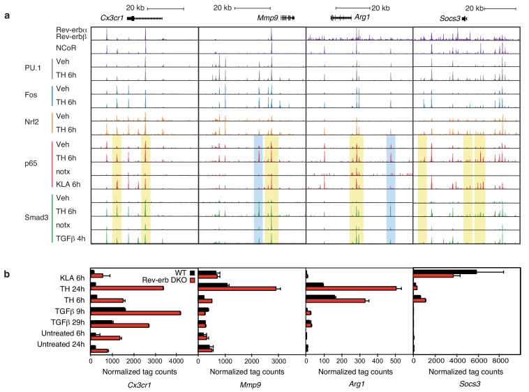 Figure 6.