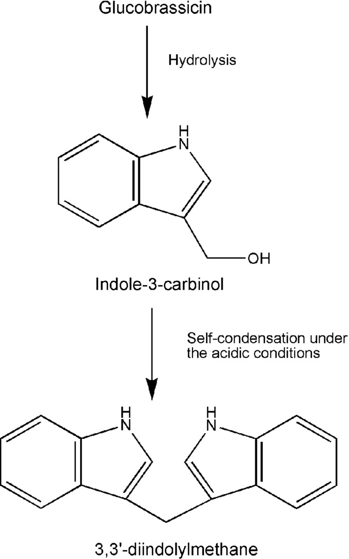 FIG. 5.