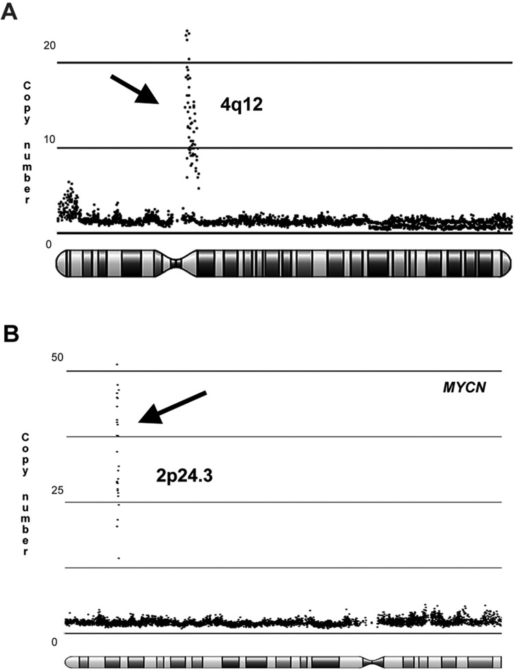 Fig. 2.