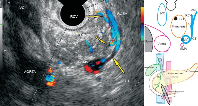 Figure 20