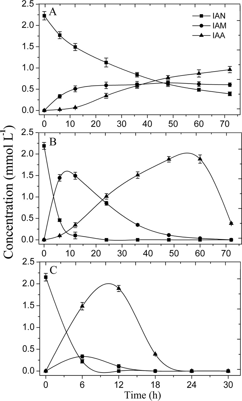 FIG 3