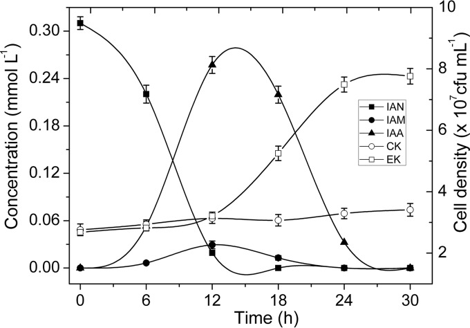 FIG 4