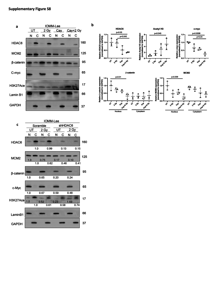 Supplementary Figure S8