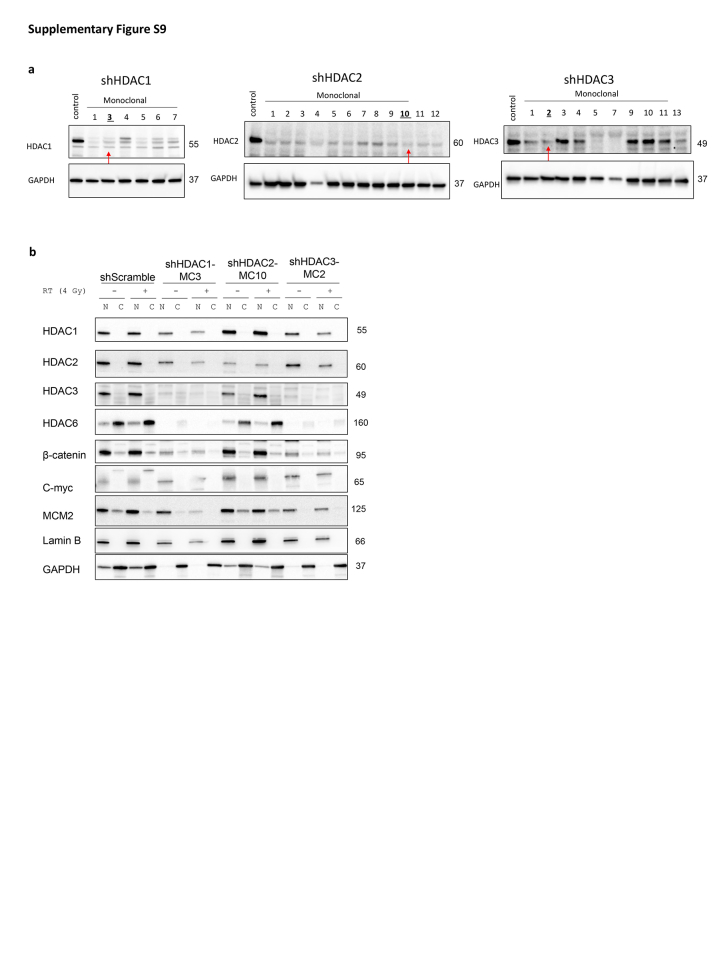 Supplementary Figure S9