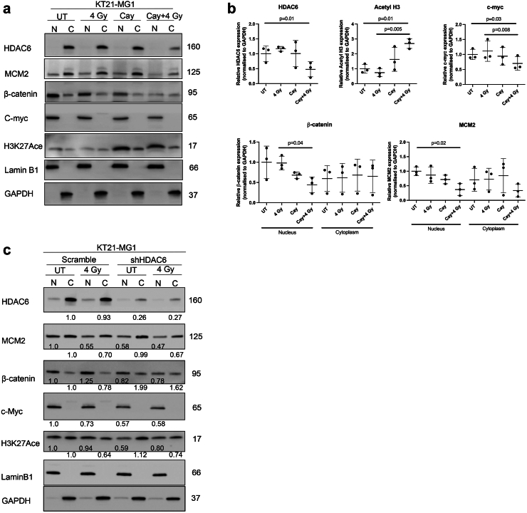 Fig. 6