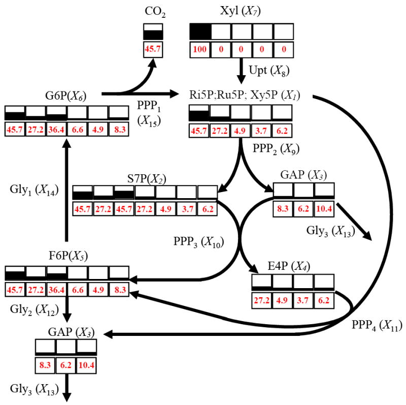 Fig 5