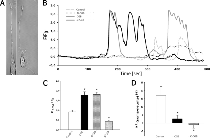 FIGURE 4.