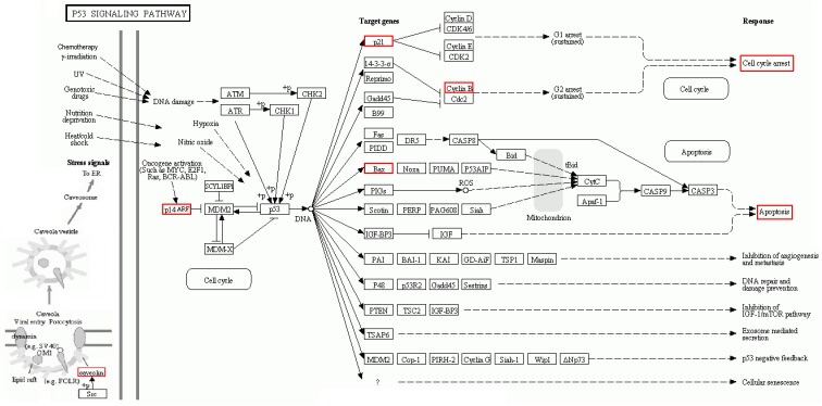 FIGURE 9