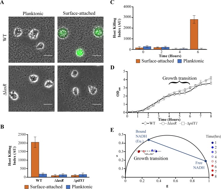 FIG 3