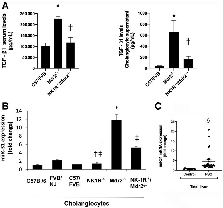 Figure 10