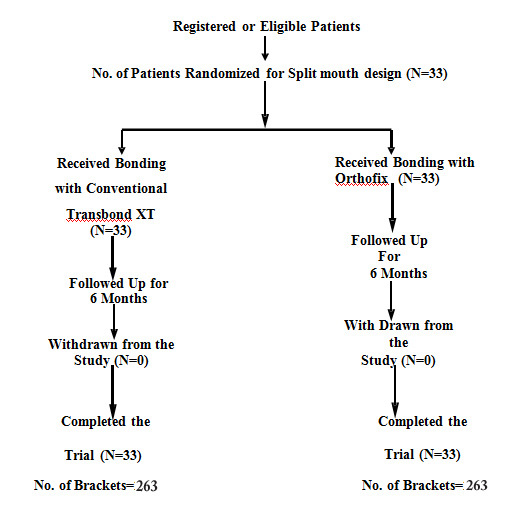 [Table/Fig-5]: