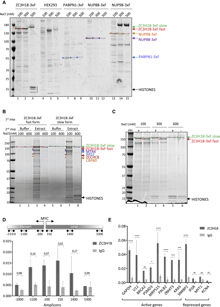 Figure 2