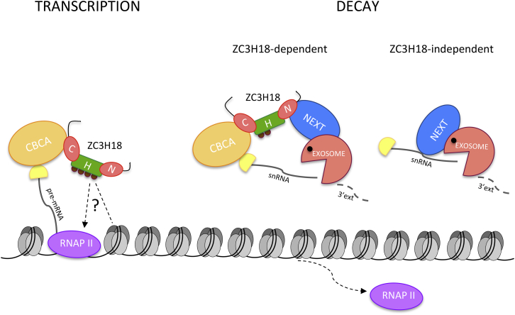 Figure 6