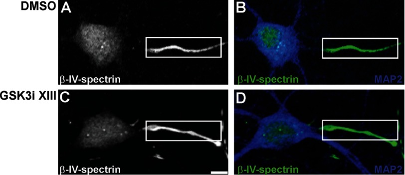 FIGURE 10.