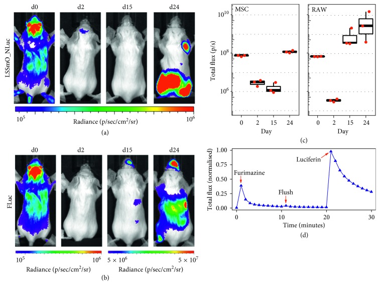 Figure 4