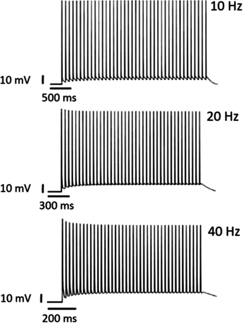 Fig. 7