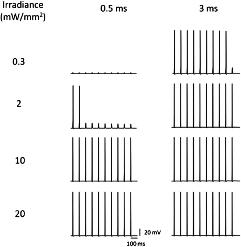 Fig. 8