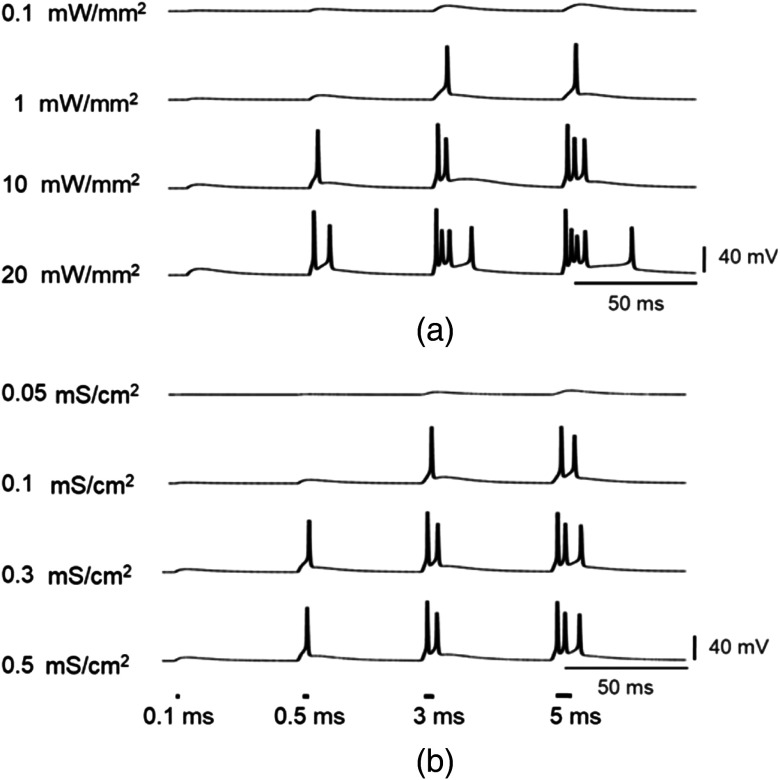 Fig. 13