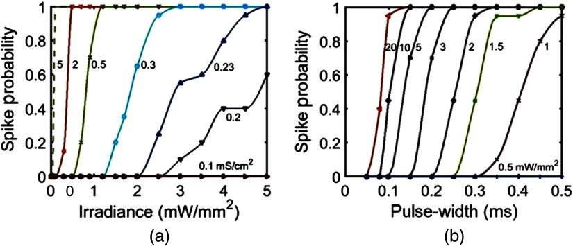 Fig. 12