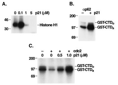 FIG. 7