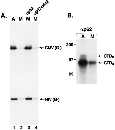 FIG. 8