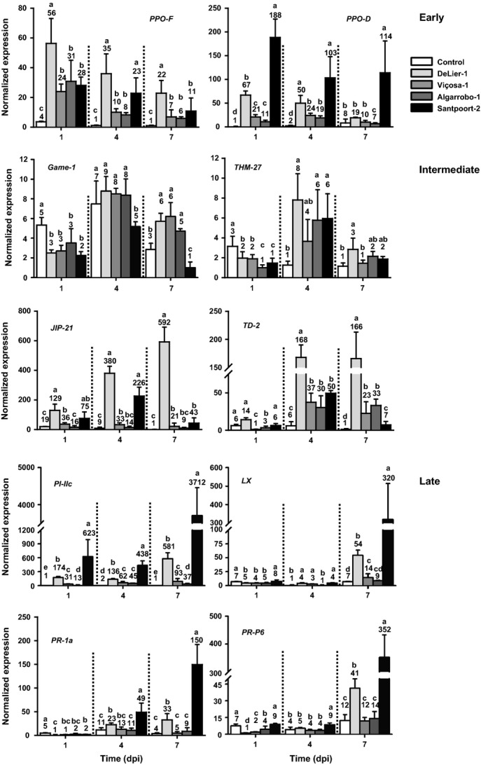 Fig 3