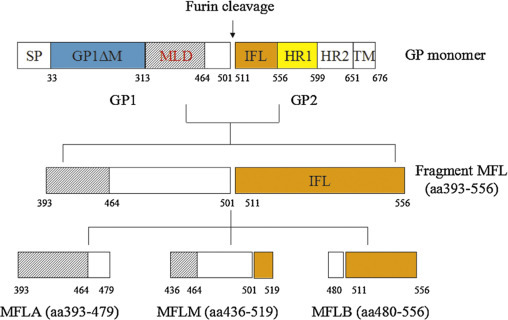 Fig. 25