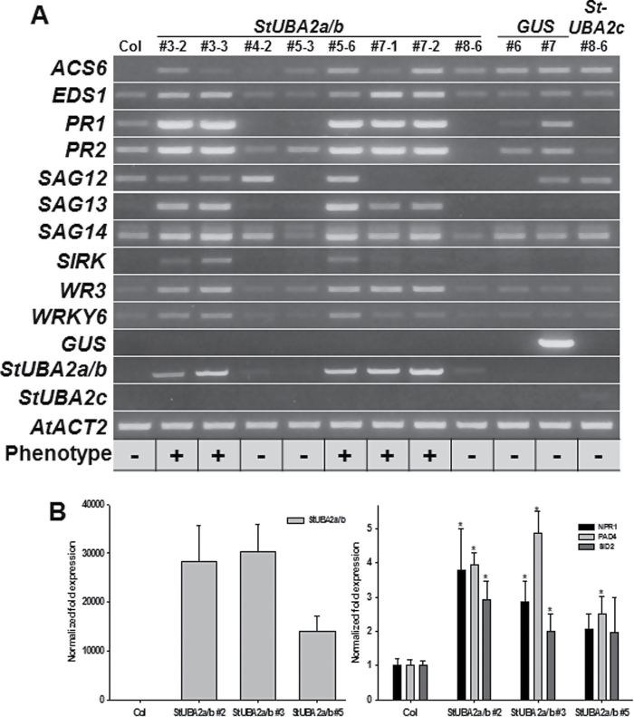 Fig. 4.