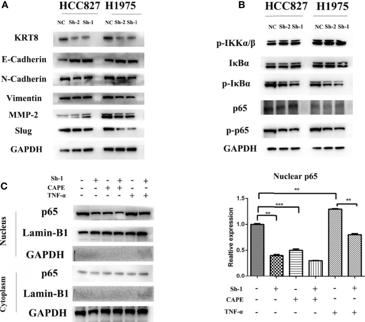 Figure 5