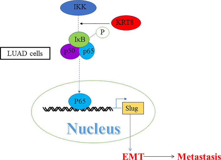 Figure 6