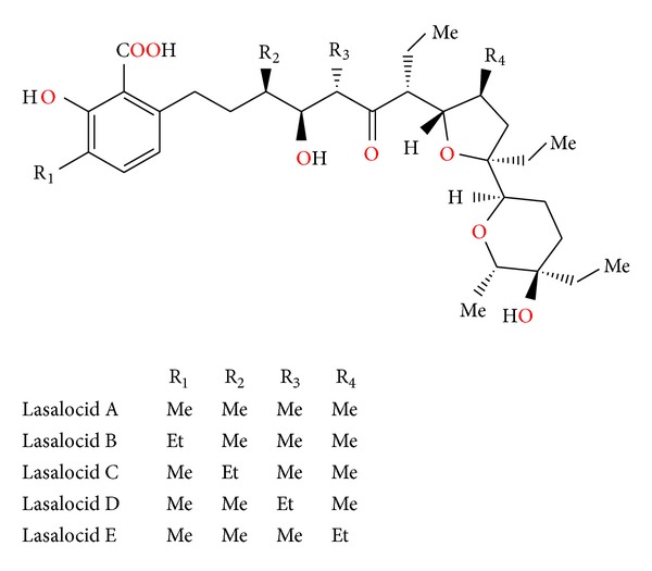 Figure 24