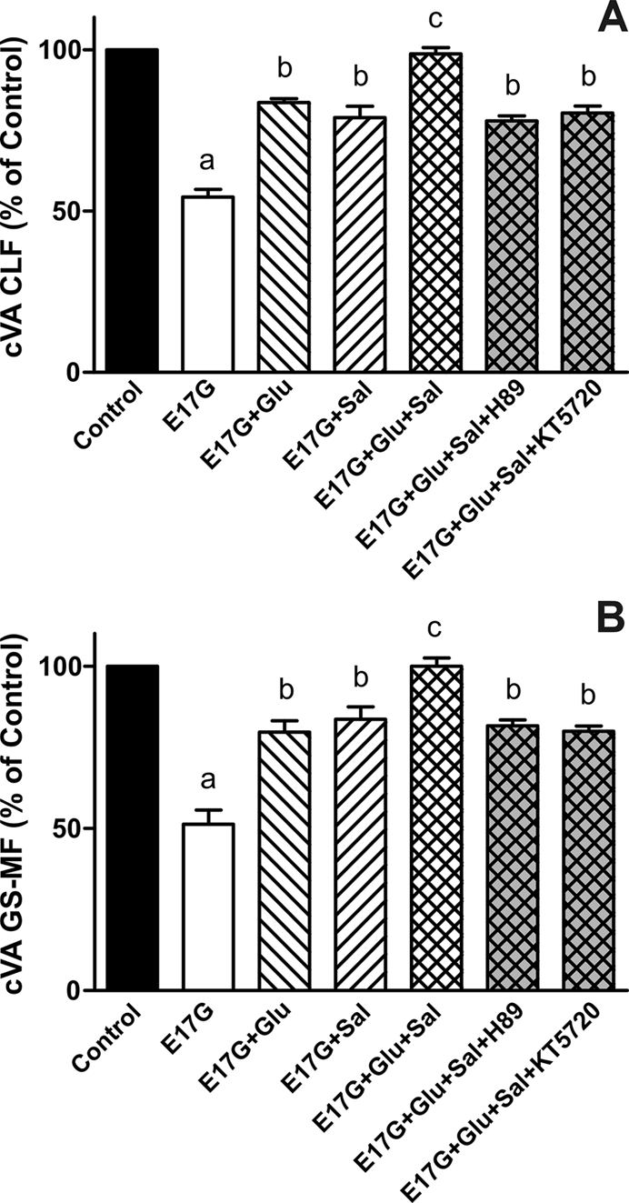 FIGURE 5: