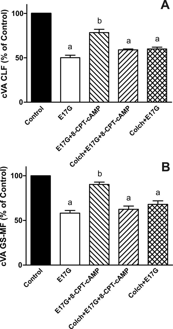 FIGURE 6: