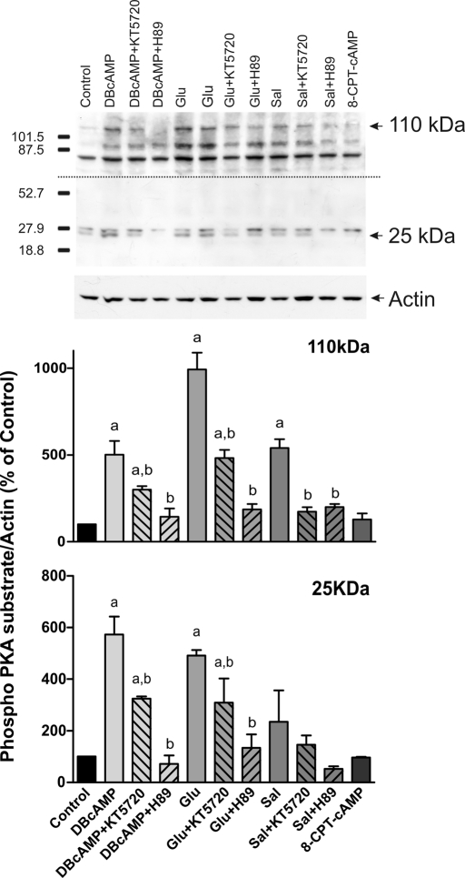 FIGURE 3: