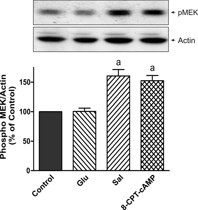 FIGURE 7: