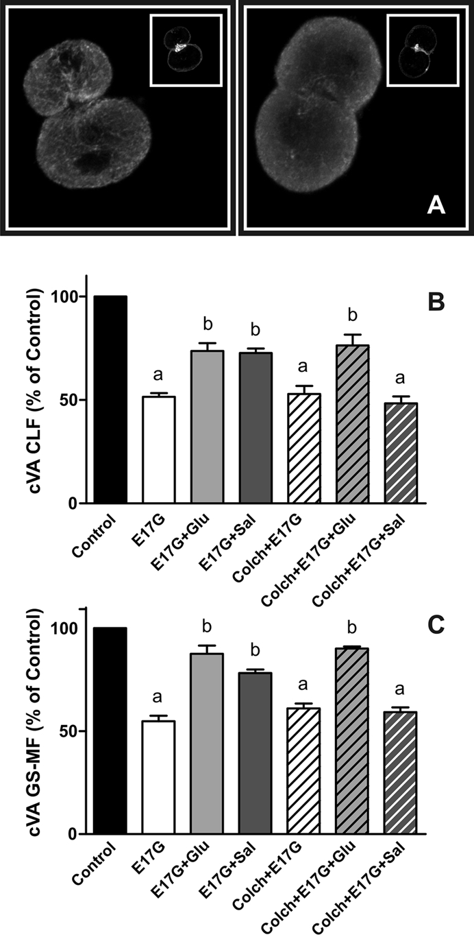 FIGURE 4: